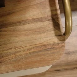 Coral Cape Sindoori TV Stand for TVs up to 60" Mango - Sauder 17 Coral Cape Sindoori TV Stand for TVs up to 60" Mango - Sauder -Cheap TV Stands Store unnamed file 4755